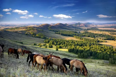 Лучшие Фотографии Башкирской Природы: Скачать в 4K