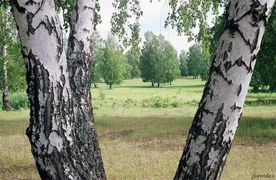 Фотографии природы Башкортостана: Скачивайте бесплатно в хорошем качестве