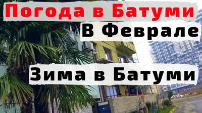 Батуми в зимнем наряде: фото в JPG, PNG, WebP на ваш выбор