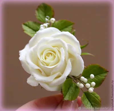 Фото Белая чайная роза с винтажным эффектом