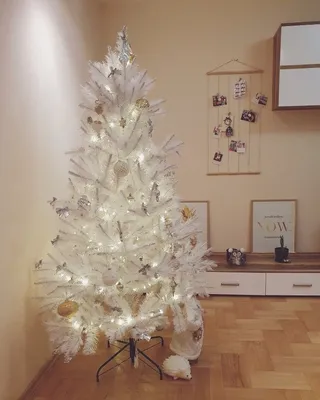 Белая елка  фото