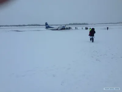 Фотографии Белой горы Якутии: прикоснитесь к дикой природе