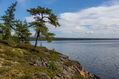 Фото Белой горы Якутии в HD качестве