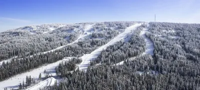 Полезная информация о Белой горе - скачайте фото бесплатно в HD качестве