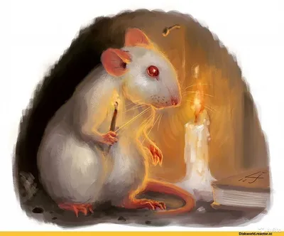 Особенное изображение белой крысы