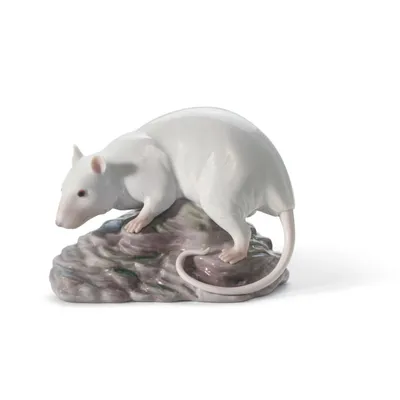 Картинка белой крысы в высоком разрешении