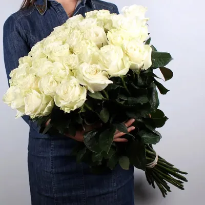 Прекрасное изображение белой розы на светлом фоне