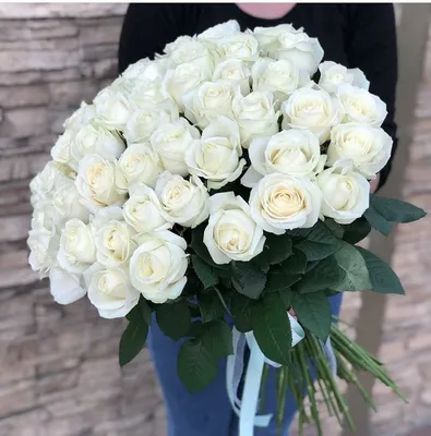 Фотки белых роз на любой вкус