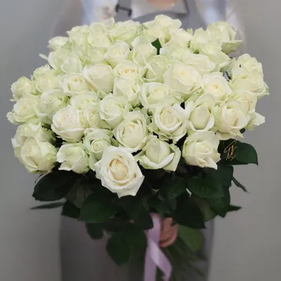 Фото белой розы с каплями росы на лепестках
