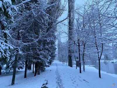 Снежные зарисовки: Фотографии Белгорода в холоде