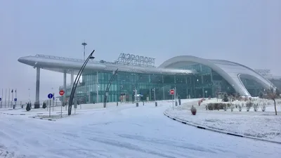 Белгородская зима: Красивые фотографии морозных моментов