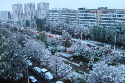 Фото зимнего настроения в Белгороде
