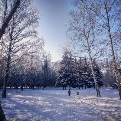 Зимний калейдоскоп: Фотографии Белгорода с разных ракурсов