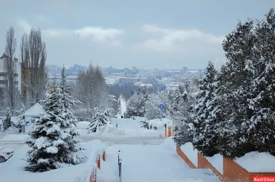 Фотоальбом: Зимние моменты в Белгороде