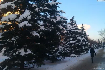 Зимняя атмосфера в Белгороде: Фотографии уюта и красоты