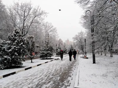 Волшебство снегопада: Фотографии Белгорода зимой