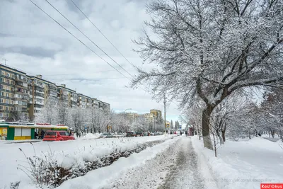 Красота зимнего уюта: Белгород в объективе