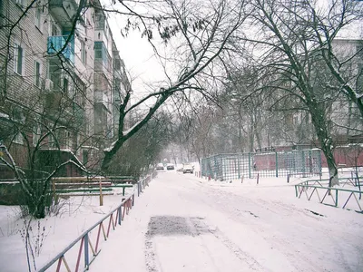 Ледяные акценты: Изображения зимнего Белгорода