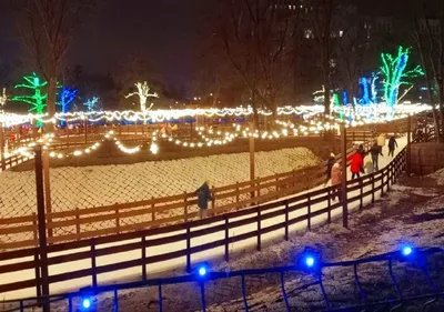 Фото исключительной зимней красоты в Белгороде