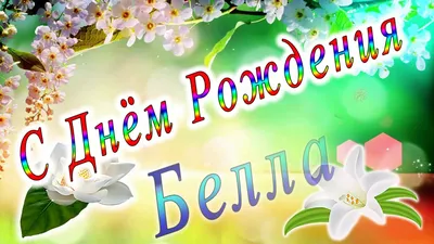 Поздравительные фото Беллы в честь ее Дня Рождения!