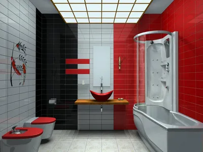 Фотография ванной комнаты с яркими красно-белыми акцентами