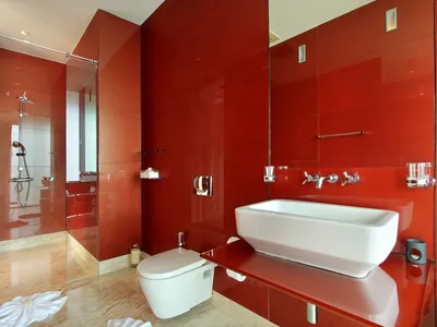 Элегантная ванная комната с красно-белыми элементами
