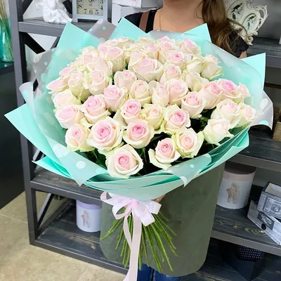 Бело розовые розы - великолепие цветов на фото