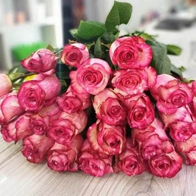 Фото бело розовых роз - великолепные изображения для всех ваших нужд