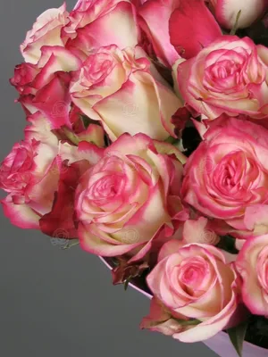 Фотка роз в белых и розовых тонах - ваш уютный кадр