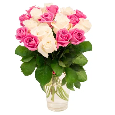 Бело розовые розы - выберите свою любимую картинку