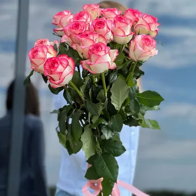 Бело розовые розы - идеальное фото для ваших эмоций