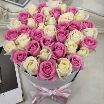 Фото роз в белом и розовом - доступные форматы для скачивания