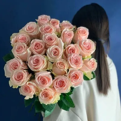 Бело розовые розы - погрузитесь в атмосферу красоты и нежности