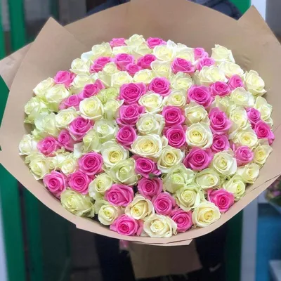 Розы в бело-розовых тонах - воплотите свои эстетические предпочтения на фото