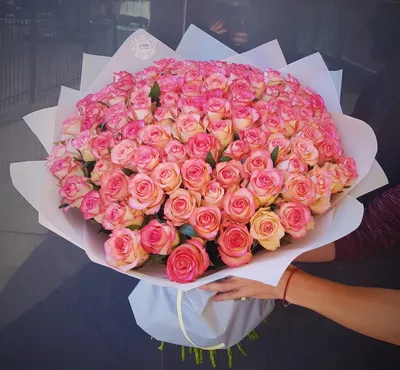 Фото роз в белых и розовых оттенках - красивая гармония цветов