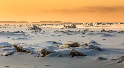 10 Вариантов: Белое море зимой на ваш выбор!