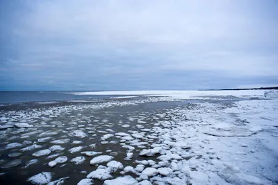 Белое море зимой: Собери свой фотоальбом!
