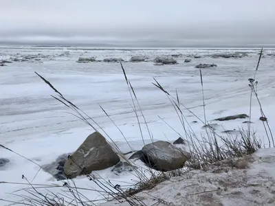 Зимние оттенки: Картинки Белого моря в высоком разрешении