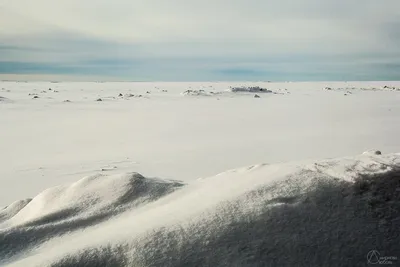 Фотографии, которые замерзнут вам сердце: Белое море зимой