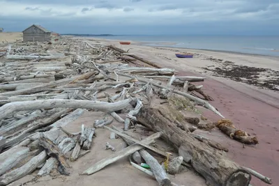 Фотографии, запечатлевшие богатство и разнообразие Белого моря