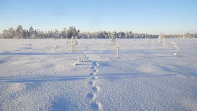 Невероятные картинки Белого моря