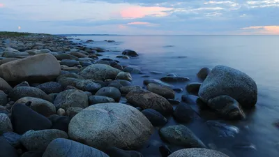 Мир под водой Белого моря: осмотрите его подводную жизнь через объектив фотокамеры.