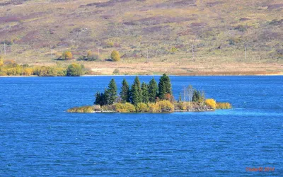 Откройте для себя красоту Белого озера в Алтайском крае на фото