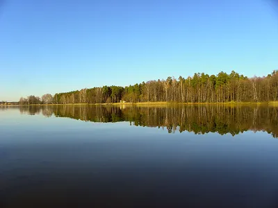 Погружение в красоту Белого озера Москвы (фото)