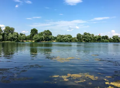 Фотоотчет о тайнах Белого озера Москвы