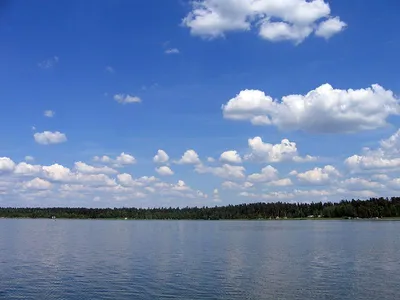 Белое озеро пенза  фото