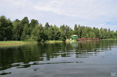 Фотографии Белого озера Пенза: искусство прикоснуться к природе