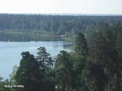 Природные чудеса Белого озера Пенза запечатленные на фото