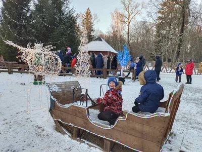 Подборка красивых изображений деда мороза, Беловежской пущи и сказочности