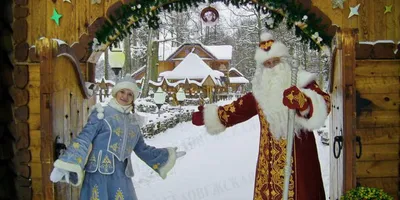 Уникальные фотографии деда мороза в Беловежской пуще